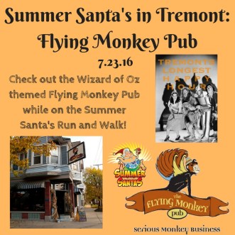 Flying Monkey Promo